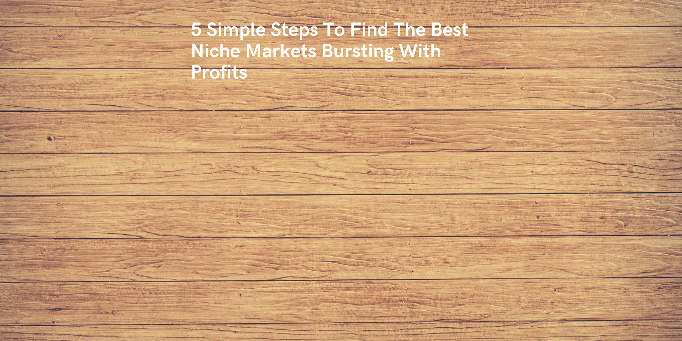 5 Simple Steps To Find The Best Niche Markets Bursting With Profits (1)
